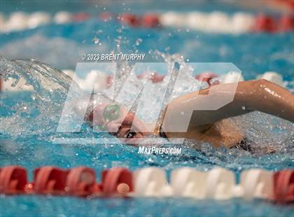 Thumbnail 2 in CHSAA 4A Girls Swimming - State Championship photogallery.