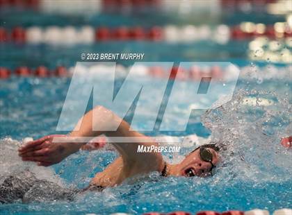 Thumbnail 1 in CHSAA 4A Girls Swimming - State Championship photogallery.