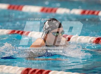 Thumbnail 1 in CHSAA 4A Girls Swimming - State Championship photogallery.