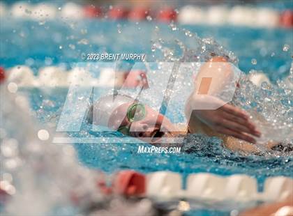 Thumbnail 3 in CHSAA 4A Girls Swimming - State Championship photogallery.