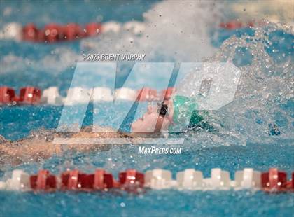 Thumbnail 3 in CHSAA 4A Girls Swimming - State Championship photogallery.