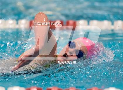 Thumbnail 2 in CHSAA 4A Girls Swimming - State Championship photogallery.