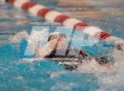 Thumbnail 2 in CHSAA 4A Girls Swimming - State Championship photogallery.