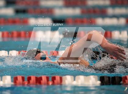 Thumbnail 2 in CHSAA 4A Girls Swimming - State Championship photogallery.