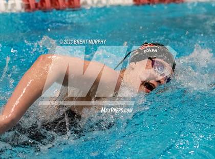Thumbnail 2 in CHSAA 4A Girls Swimming - State Championship photogallery.