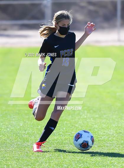 Thumbnail 1 in Phoenix Country Day vs. Page (AIA 3A Play-In) photogallery.