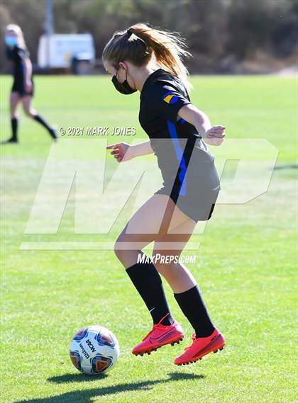 Thumbnail 1 in Phoenix Country Day vs. Page (AIA 3A Play-In) photogallery.