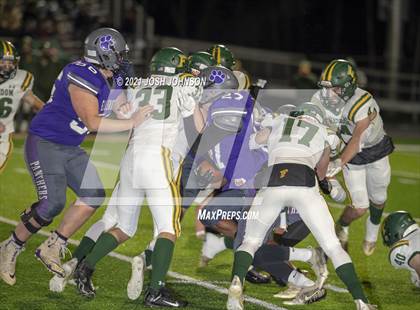 Thumbnail 3 in Ellsworth vs. Freedom (WIAA D4 Level 4 Playoff) photogallery.