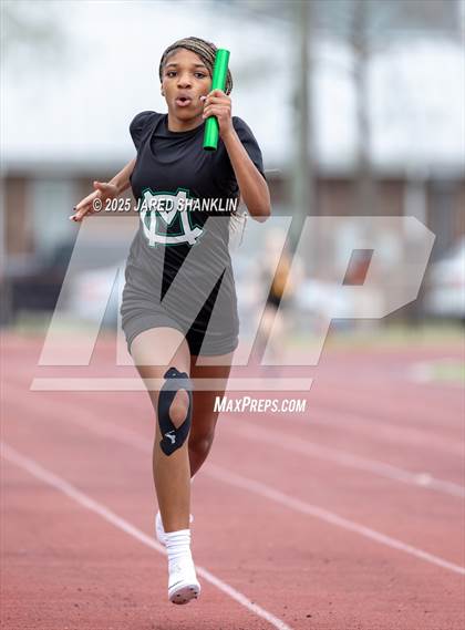 Thumbnail 3 in E.D. White(Cardinals Relays) photogallery.