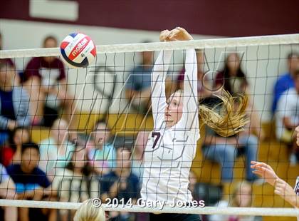 Thumbnail 1 in Rocklin @ Whitney photogallery.