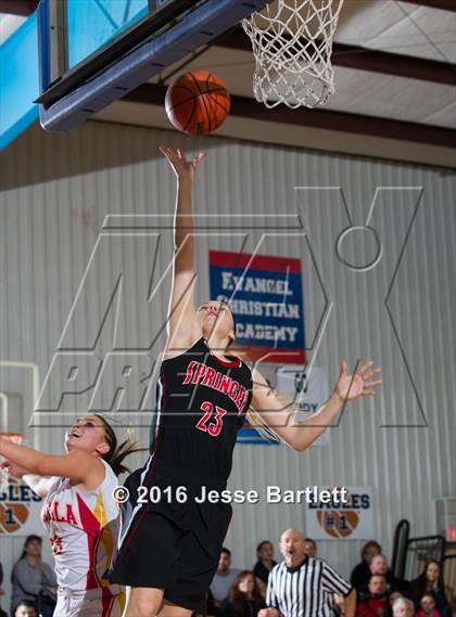 Thumbnail 2 in Springer vs Española (Evangel Eagle Classic) photogallery.