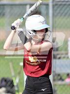 Photo from the gallery "Foresthill @ Leroy Greene Academy"
