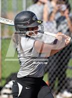 Photo from the gallery "Foresthill @ Leroy Greene Academy"
