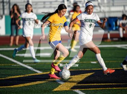 Thumbnail 1 in Brawley vs. Lincoln (CIF SDS D5 Final) photogallery.