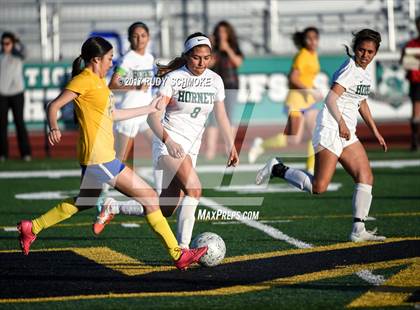 Thumbnail 1 in Brawley vs. Lincoln (CIF SDS D5 Final) photogallery.