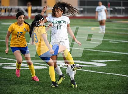 Thumbnail 1 in Brawley vs. Lincoln (CIF SDS D5 Final) photogallery.