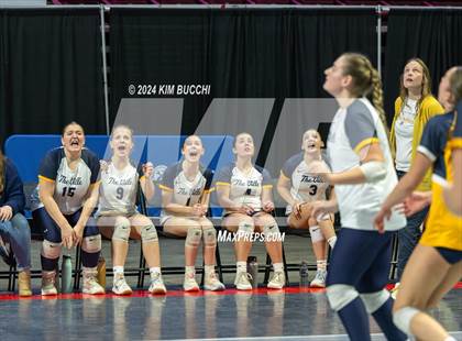 Thumbnail 1 in Hedgesville vs. Morgantown (WVSSAC Class AAAA Final) photogallery.