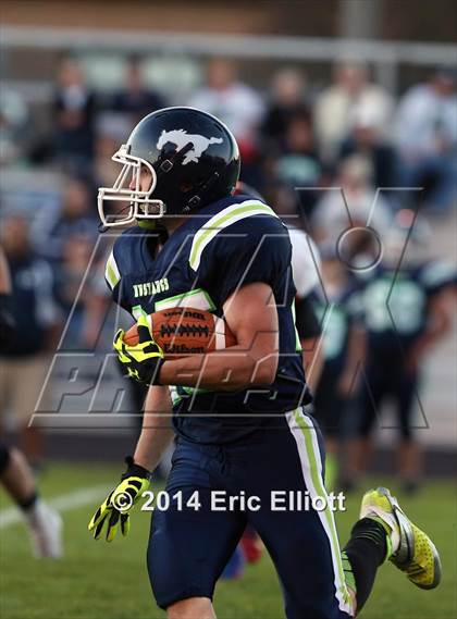 Thumbnail 2 in Franklin @ Mercer photogallery.