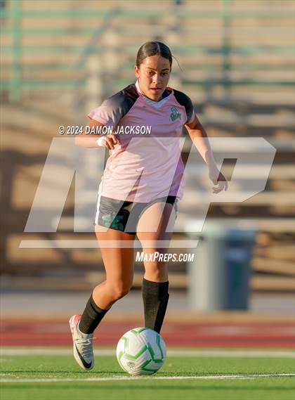 Thumbnail 1 in Pahrump Valley vs Virgin Valley (NIAA 3A Southern Region Quarterfinal) photogallery.