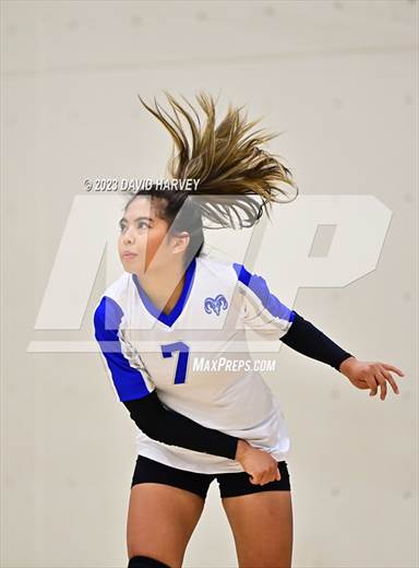 null - Photo 01