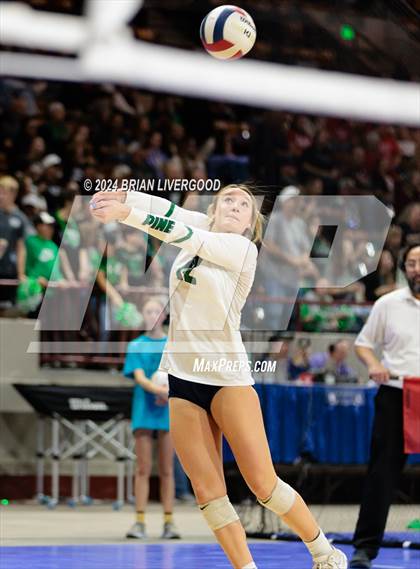 Thumbnail 3 in Pine Creek vs. Valor Christian (CHSAA 5A Semifinal) photogallery.