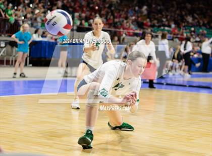Thumbnail 1 in Pine Creek vs. Valor Christian (CHSAA 5A Semifinal) photogallery.