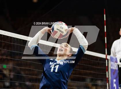 Thumbnail 3 in Pine Creek vs. Valor Christian (CHSAA 5A Semifinal) photogallery.