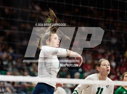 Thumbnail 1 in Pine Creek vs. Valor Christian (CHSAA 5A Semifinal) photogallery.