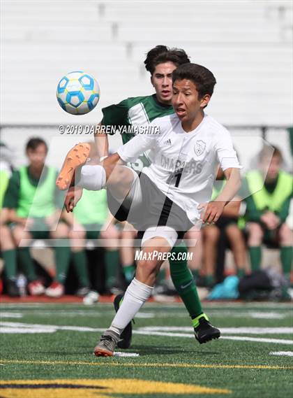Thumbnail 1 in Wilcox vs. Sacred Heart Cathedral Preparatory (CIF CCS D3 Final) photogallery.