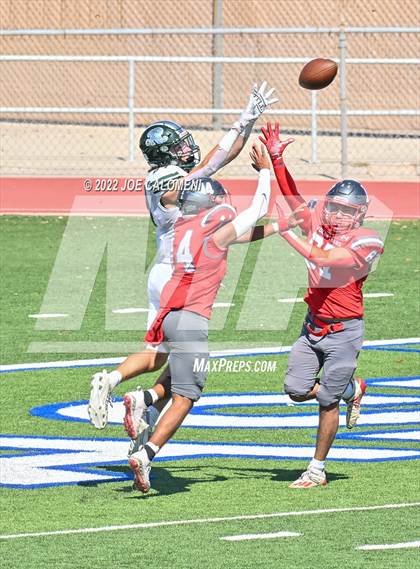 Thumbnail 3 in Reagan [Ronald] vs Lee photogallery.