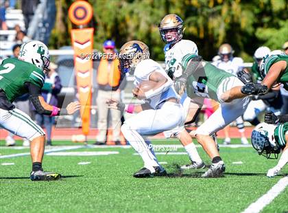 Thumbnail 2 in Pope John XXIII @ Delbarton photogallery.