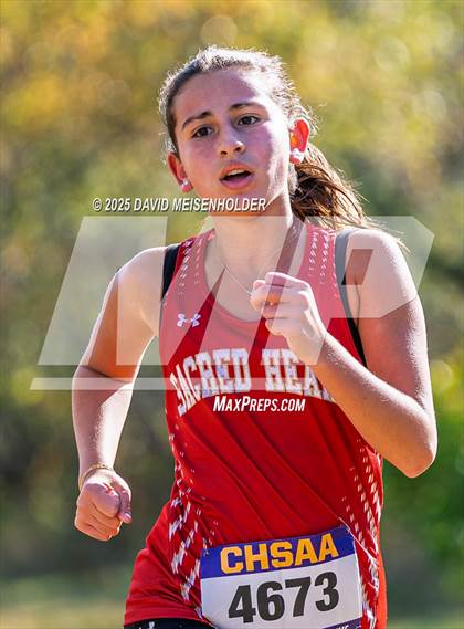 Thumbnail 3 in FR: NSCHSAA Championship photogallery.