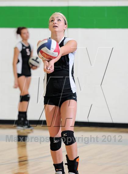 Thumbnail 2 in Webster @ Siren photogallery.