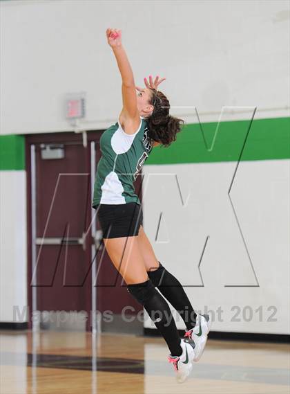 Thumbnail 2 in Webster @ Siren photogallery.