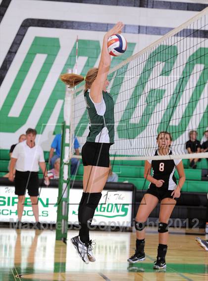 Thumbnail 1 in Webster @ Siren photogallery.