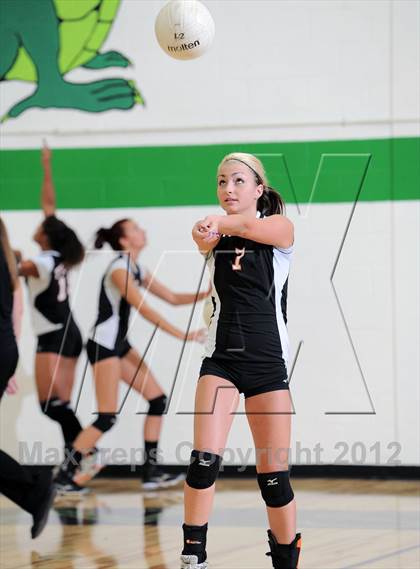 Thumbnail 1 in Webster @ Siren photogallery.