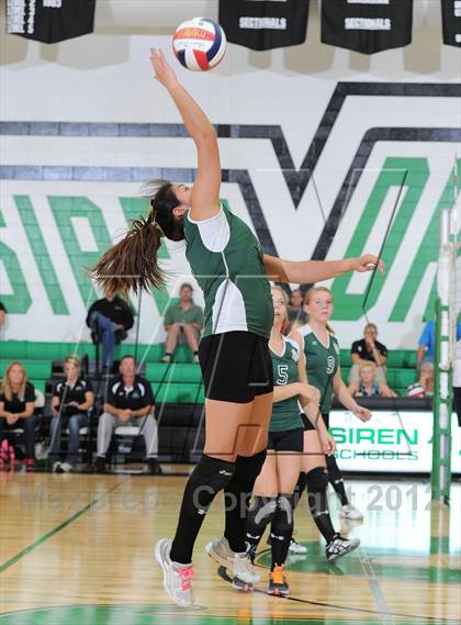 Thumbnail 1 in Webster @ Siren photogallery.