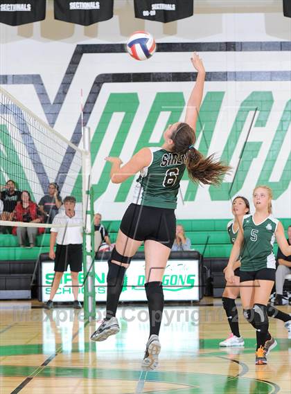 Thumbnail 1 in Webster @ Siren photogallery.