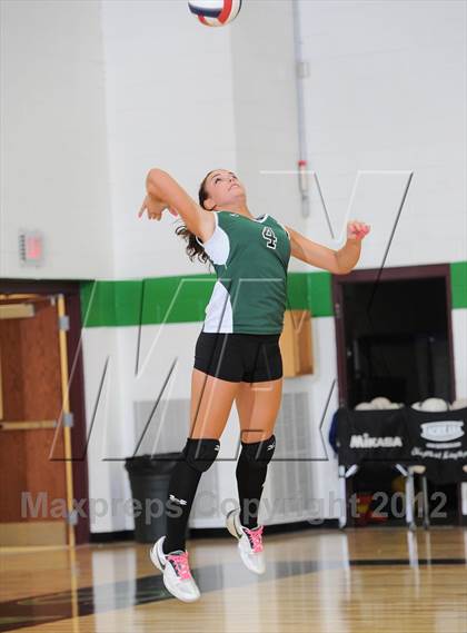 Thumbnail 2 in Webster @ Siren photogallery.