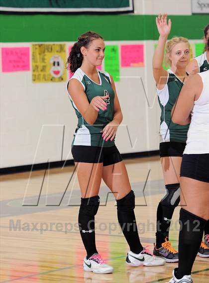 Thumbnail 1 in Webster @ Siren photogallery.