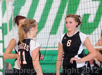 Thumbnail 1 in Webster @ Siren photogallery.