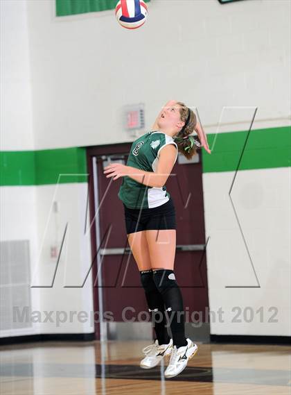 Thumbnail 2 in Webster @ Siren photogallery.