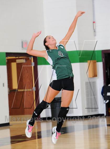 Thumbnail 3 in Webster @ Siren photogallery.