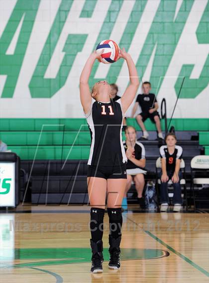 Thumbnail 1 in Webster @ Siren photogallery.