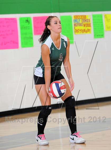 Thumbnail 1 in Webster @ Siren photogallery.