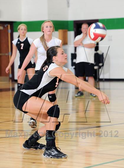 Thumbnail 2 in Webster @ Siren photogallery.