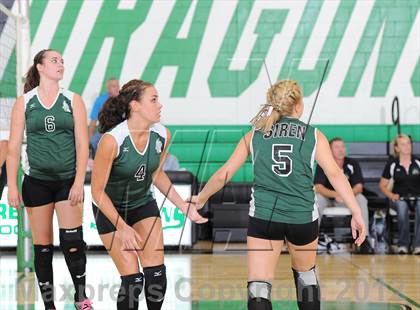 Thumbnail 1 in Webster @ Siren photogallery.