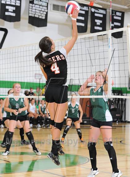 Thumbnail 3 in Webster @ Siren photogallery.