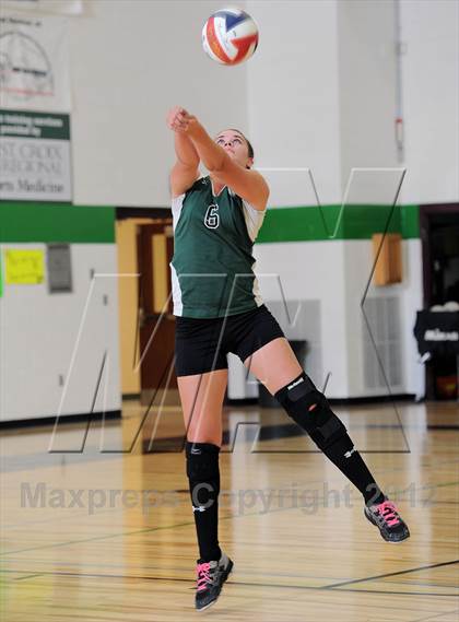 Thumbnail 2 in Webster @ Siren photogallery.