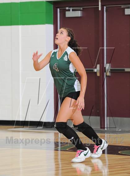 Thumbnail 3 in Webster @ Siren photogallery.